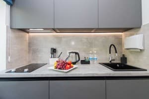 Квартира CityApartments Vokzalna. Апартаменты двухместный +2      53/2 11